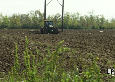 Farmer Plowing a Field