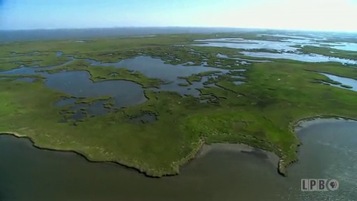 Louisiana's Coastal Land Loss