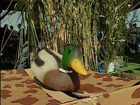 Duck Festival in Gueydan