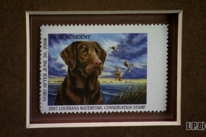 Duck Stamps