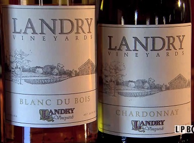 Landry Vineyards