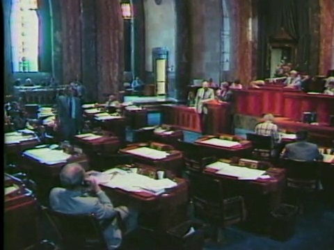 Louisiana Legislature in 1989