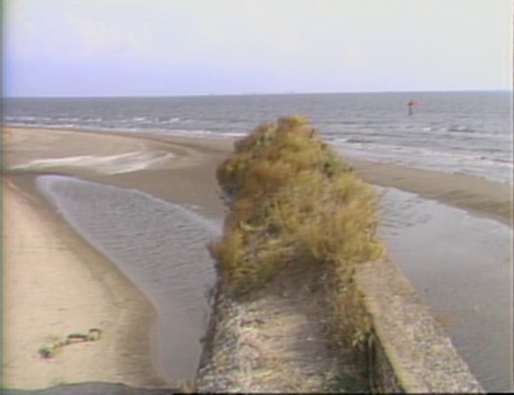 Louisiana's Vanishing Coast in 1984